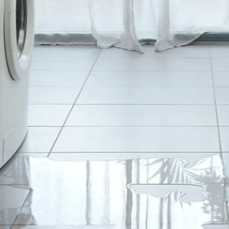 Appliance Leak Cleanup in Joseph City, AZ
